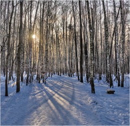 Зимний день / ***