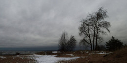 Зимний день у моря.... / Сестрорецк. Декабрь