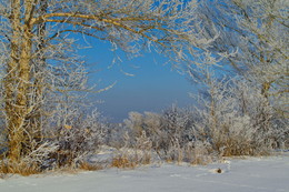 зимние декорации / восточный Казахстан