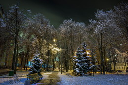 Городской скверик в снегу / Заснеженный сквер в первый снегопад 2017 в Минске