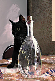 Кася и графин / домашнее хозяйство