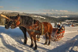 Зимние забавы / Зимние прогулки на лошадях и катание на санях по заснеженным
тропам Украинских Карпат