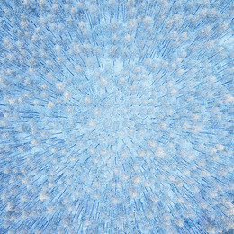 &nbsp; / Ярославская область