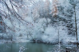 Лесной водоем / Этюд зимнего лесного пейзажа.