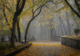 В парке туманном.... / Железноводск. Октябрь