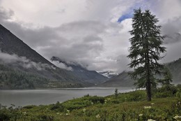 А в горах по утрам туман / Горный Алтай,Катунский хребет