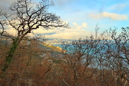 Январь в Крыму / Январь в Крыму