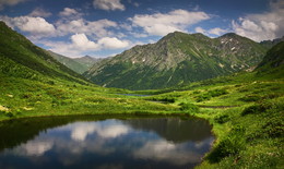 В долине Дзитаку / Зап. Кавказ