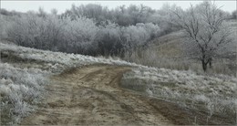 Просёлок / пейзаж