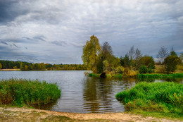 лесное озеро Клинцы / осенний пруд