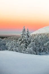 Короткий северный день / Юллес. Финляндия. Январь