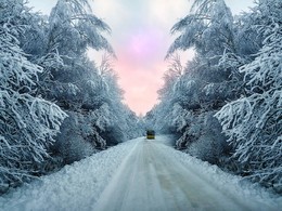 Зимний маршрут / Зимний маршрут