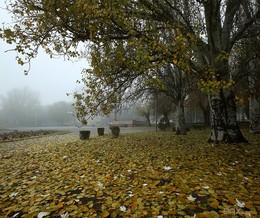 Утро туманное... / Волгоград. Пора туманов. Съёмка проведена в первой половине дня при лёгком тумане.
