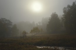 Мокрая пятница / Утренний туман в горах после дождя