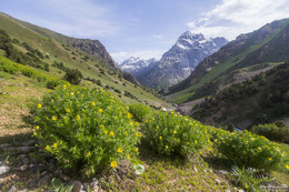 Долина Сарыгаг / Таджикистан