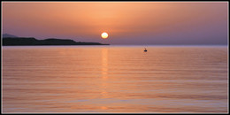 Подранок. / Каждое утро подранок встречал солнце с надеждой летать... Вот такое Красное море.:))