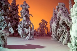 &nbsp; / Зимний пейзаж. 
Финляндия.