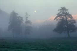 Утренний туман / Весенний рассвет в Архызе