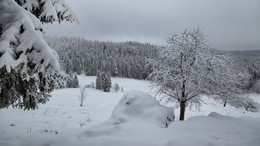 Зима в горах / После небольшого снегопада