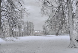 Зимний день в парке / Царицыно