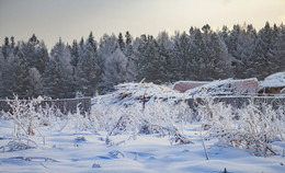 снежная фоточка / Деревня Елкино, 20 января 2018 года