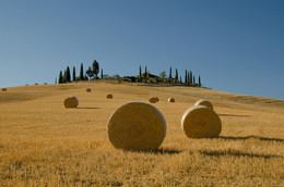 Bella Toscana / Round hay bales on summer field with cypresses in the back, Tuscany, Italy