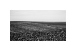 Штиль на поле / Штиль на поле