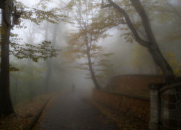 В парке туманном.... / Железноводск. Октябрь