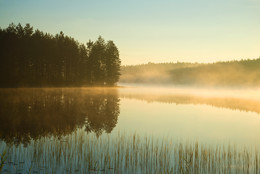 Туманный рассвет на лесном озере / Летний рассвет на лесном озере. Август в Южной Финляндии