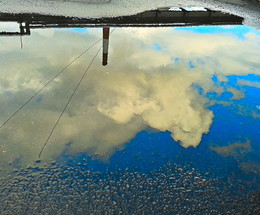 Отражение / Отражение в луже после дождя
