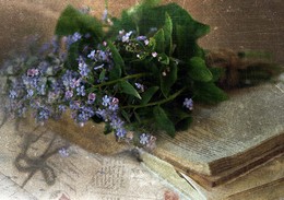 Forget-me-nots... / ............................