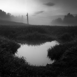 King Of Carrot Flowers, Part 1 / King Of Carrot Flowers, Part 1