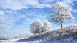 Первые морозы января! / Nikon D5200