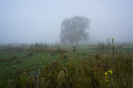 Туманное утро. / Туман в поле.
