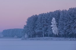 Зима в мягких тонах. / Мягкий вечерний пейзаж на Минском море.