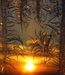 Рассвет у зимнего окна / Узоры на окне, зима,мороз