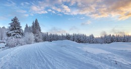 Встреча заката на лыжне / Прогулки по снежному лесу