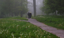 Мы уходим в туман... / Зеленоградск,парк