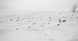 Не первый снег / Финский залив