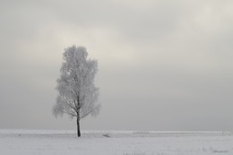 Белое безмолвие!!! / во поле берёза стояла!!!