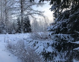 Не первый снег / Окрестности деревни Вартемяги.