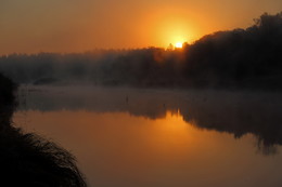 утро / Этот вид увидел и сфотографировал неприлично ранним утром на берегу реки Медведица. Когда видишь такие картины наяву, захватывает дух..