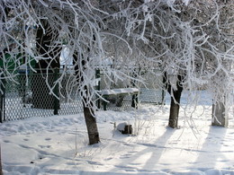 Снег,мороз,солнце... / Просто зимняя картинка на сельской улице...