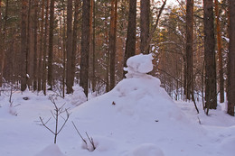 СНЕЖНЫЕ СУГРОБЫ. ПРИРОДА РИСУЕТ СКУЛЬПТУРЫ. / СНЕЖНЫЕ СУГРОБЫ В ТАТАРСТАНСКОМ ЛЕСУ