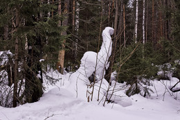 СНЕЖНЫЕ ЗАРИСОВКИ В ЛЕСУ / СНЕЖНЫЕ ЗАНОСЫ В ЛЕСУ
