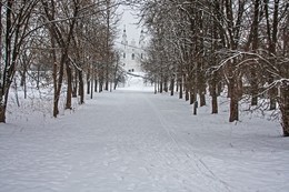 Городской парк. / На противоположном берегу р. Западная Двина виден Софийский Собор.