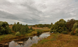 &quot;Глядя задумчиво в небо высокое...&quot; / ***