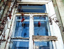 Окно / Старый дом