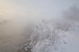 Туманный январь / Россия. Тула. Косая Гора. Озеро Горячка.
