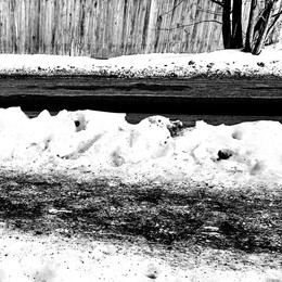 Без названия / Мобильное фото